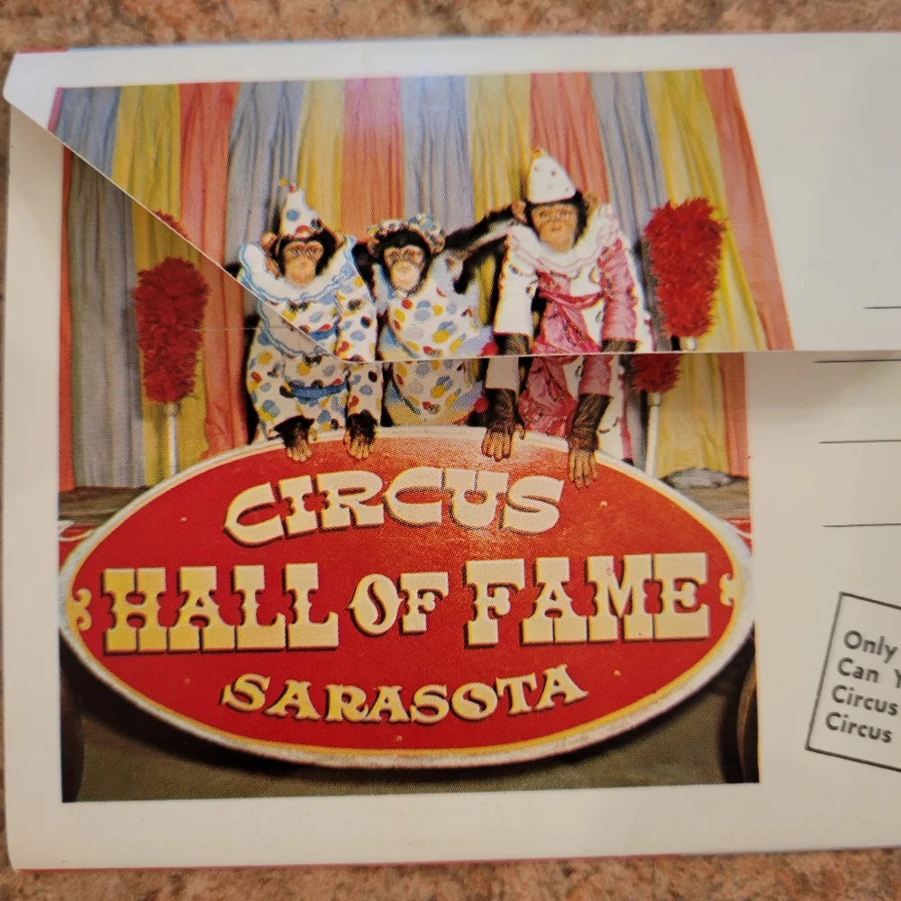 Vintage Postcard Booklets from Florida ~ Circus ~ Seashells ~ Retro!